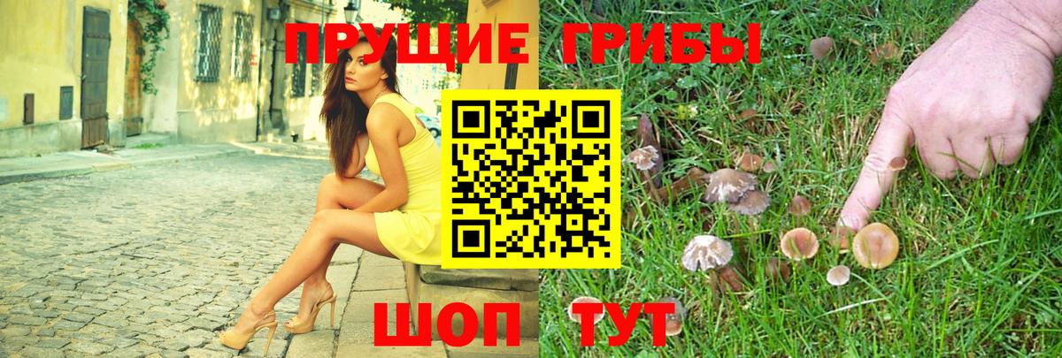 Крымск  Галлюциногенные грибы GOLDEN TEACHER  Галлюциногенные грибы мухоморы  Вход с VPN 